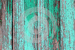 Texture of old wooden planks with cracked green paint