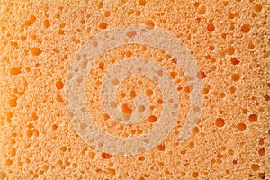 Texture of orange sponge as background