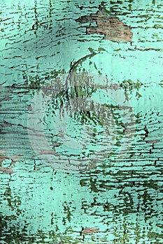 Texture of a painted wooden rough surface with cracks of green color.