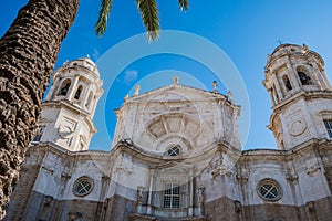 Texture of palm tree trunk next to the symmetrical facade of the Cathedral of La Santa Cruz with two towers, CÃÂ¡diz SPAIN photo