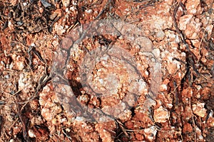 Texture of parched red soil