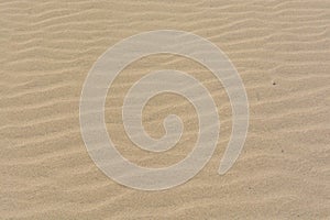 Texture, pattern, background of sand in the dunes of Maspalomas, Grand Canary
