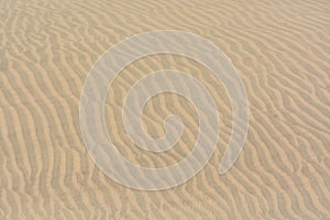 Texture, pattern, background of sand in the dunes of Maspalomas, Grand Canary