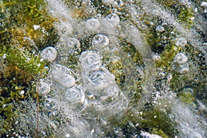 Texture pattern background white Winter, river ice air bubbles stagnant. drawing on ice frost formed. Severe cold frozen water. a