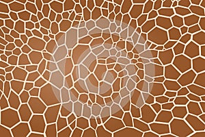 Texture pattern pattern texture giraffe animal spot