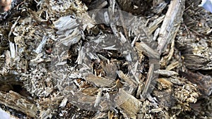 Texture pattern of small pieces of wood