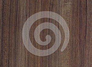 The texture and pattern of wood floor for background