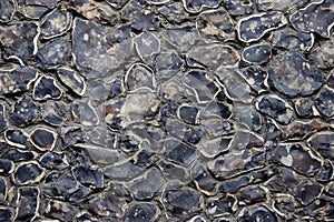 A texture of a pebble stone wall made of natural stones