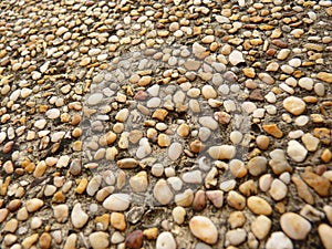 Texture of a pebble wall