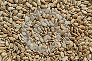 Texture of peeled sunflower seeds