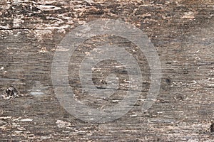 Texture photo of rustic weathered barn wood with cracks