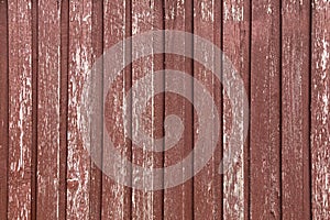 Texture photo of rustic weathered barn wood in red brown and white