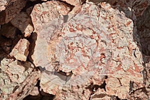 The texture of a pile of limestone stones