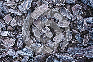 The texture of the pine bark. frosty mulch