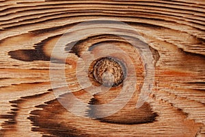 The texture of a pine board after firing and brushing with a knot in the middle
