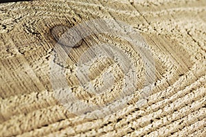 The texture of a pine board with a knot in the middle, after mechanical processing. Background image.