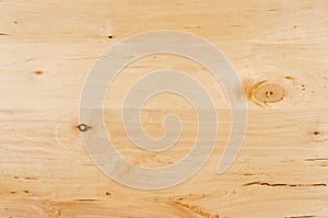 Texture of pine wood