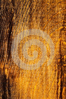 Texture of pine wood covered with yellow varnish