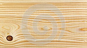 Texture of pine wood plank