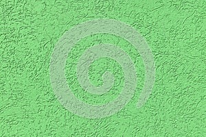 The texture of the plaster bark beetle.