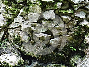 texture of pointy stones with moss photo