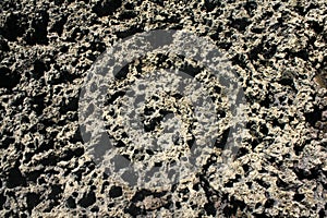 Texture of a porous stone