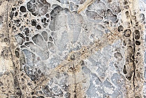 texture of porous stones on the beach, nature, natural phenomena, brown gray stones