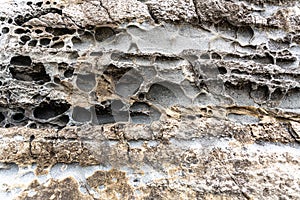 texture of porous stones on the beach, nature, natural phenomena, brown gray stones