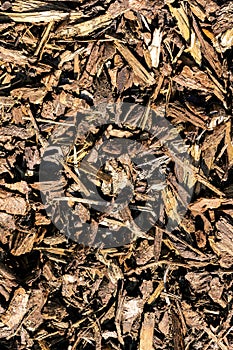 A texture portrait of some brown wood mulch or chips lying in a garden, perfect to keep weeds away and the garden clean around