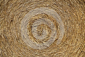 The texture of the pressed straw roll close-up