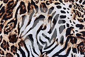 Texture of print fabric striped leopard