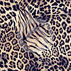 Texture of print fabric striped leopard