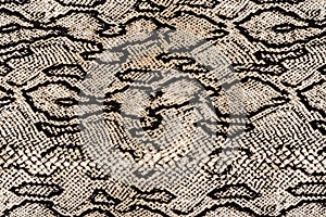 Texture of print fabric striped snake leather