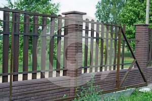 Texture of profiled metal. Metal fence. urban landscaping, beautiful thuja occidentalis on the background of a modern