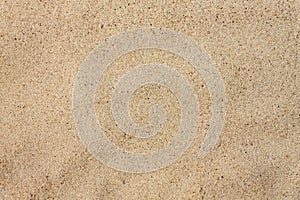 Texture quartz sand closeup. Sand on beach.