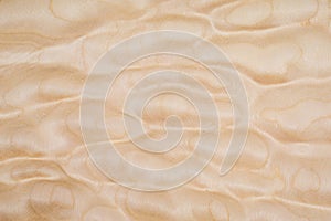 Texture of Quilted Maple