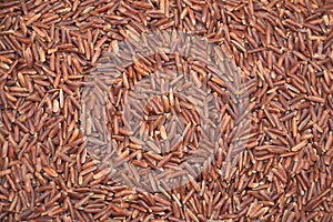 Raw grains of red rice texture