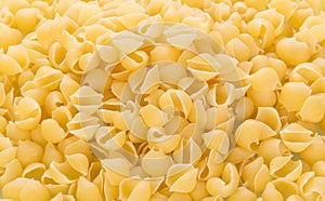 The texture of raw macaroni closeup
