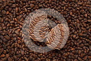 Texture raw ripe fresh brown pine nuts in shell as background, top view