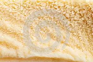 Texture of raw tripe - second beef stomach