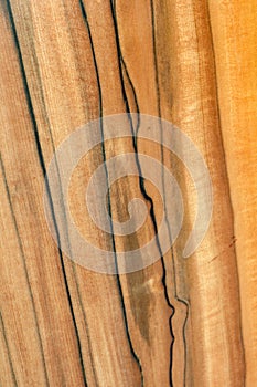 Texture of real wood