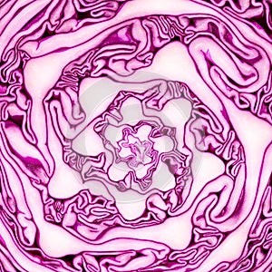 Texture of red cabbage cut