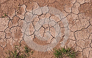 Texture of red dried cracked clay. Macro background image of dried clay