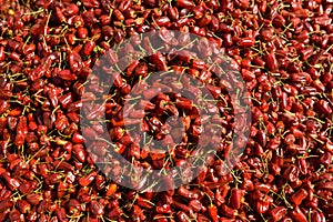 Texture of red dry chili pepper food background