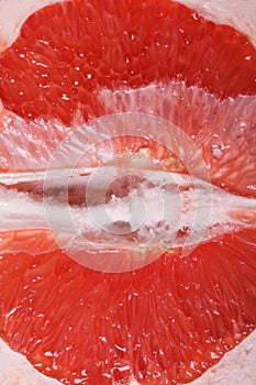 Texture of red grapefruit pulp macro