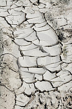 Texture with relief of cracked soil