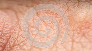 Texture, relief of healthy, human skin, macro photography, visible bumps, furrows, the concept of health and skin care