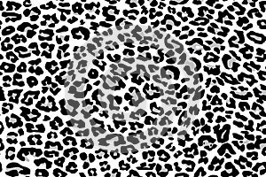 Texture repeating seamless pattern snow leopard jaguar white photo