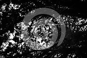 Abstract texture for funds