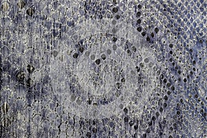 Texture of reptile pattern on genuine leather close-up, surface of grey color, trendy background, manufacturing concept